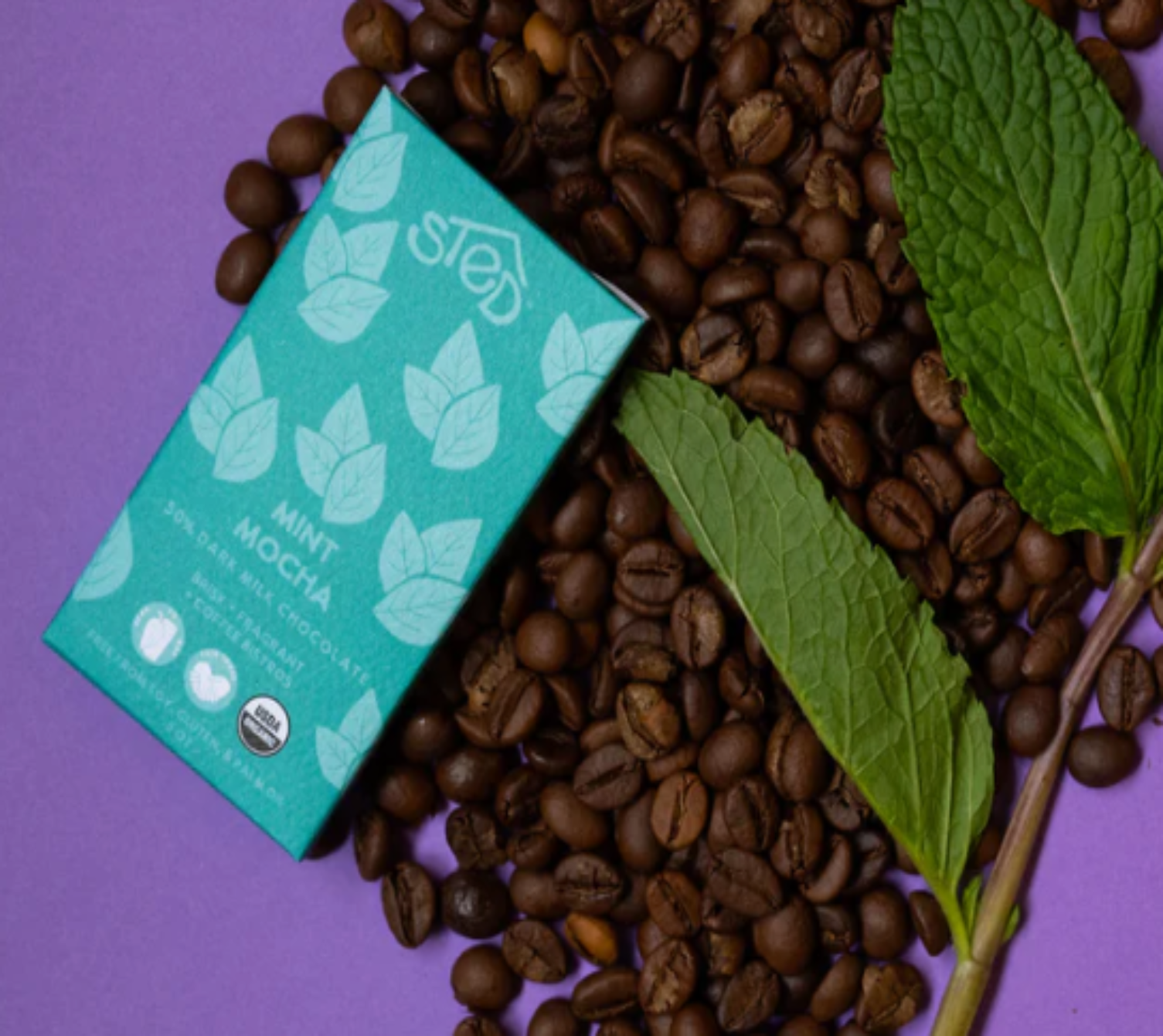 Mini Mint Mocha Chocolate Bar .5oz